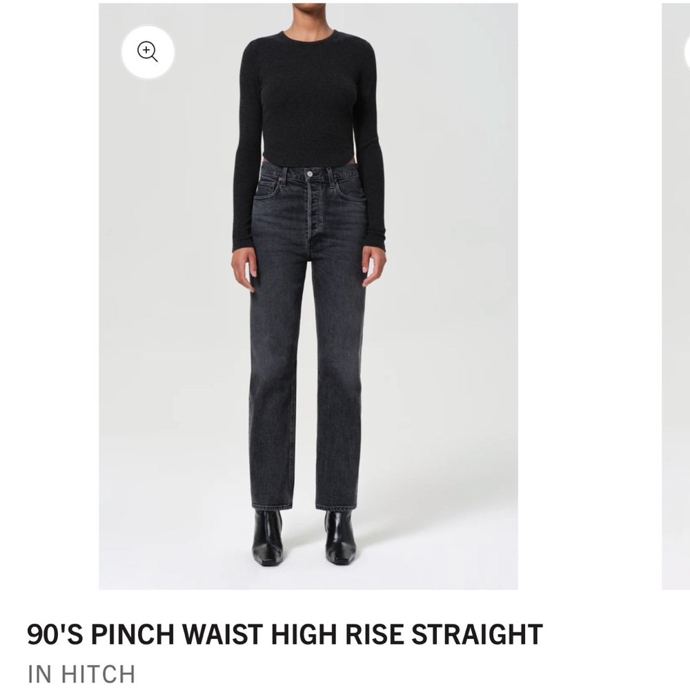 Agolde 90s Pinch Waist in Hitch